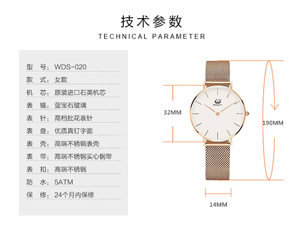時(shí)尚熱門石英女士個(gè)性潮流手表批發(fā) 穩(wěn)達(dá)時(shí)