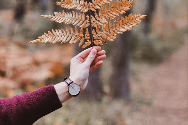 穩(wěn)時(shí)達(dá)來(lái)圖定制小清新手表樣式